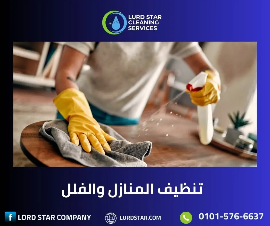 تنظيف المنازل 